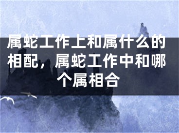 属蛇工作上和属什么的相配，属蛇工作中和哪个属相合