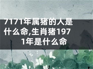 7171年属猪的人是什么命,生肖猪1971年是什么命