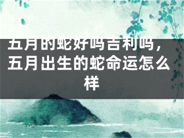 五月的蛇好吗吉利吗，五月出生的蛇命运怎么样