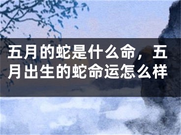 五月的蛇是什么命，五月出生的蛇命运怎么样
