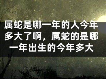 属蛇是哪一年的人今年多大了啊，属蛇的是哪一年出生的今年多大