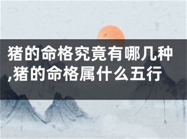 猪的命格究竟有哪几种,猪的命格属什么五行
