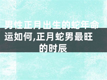 男性正月出生的蛇年命运如何,正月蛇男最旺的时辰