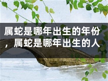 属蛇是哪年出生的年份，属蛇是哪年出生的人