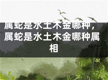 属蛇是水土木金哪种，属蛇是水土木金哪种属相