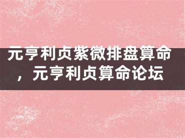 元亨利贞紫微排盘算命，元亨利贞算命论坛