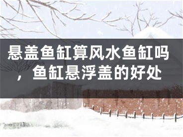 悬盖鱼缸算风水鱼缸吗，鱼缸悬浮盖的好处