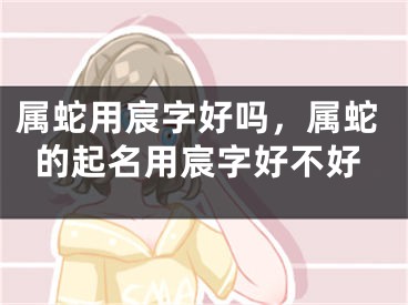 属蛇用宸字好吗，属蛇的起名用宸字好不好
