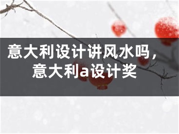 意大利设计讲风水吗，意大利a设计奖