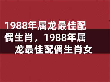 1988年属龙最佳配偶生肖，1988年属龙最佳配偶生肖女