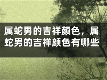 属蛇男的吉祥颜色,属蛇男的吉祥颜色有哪些