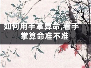 如何用手掌算命,看手掌算命准不准