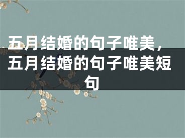 五月结婚的句子唯美，五月结婚的句子唯美短句