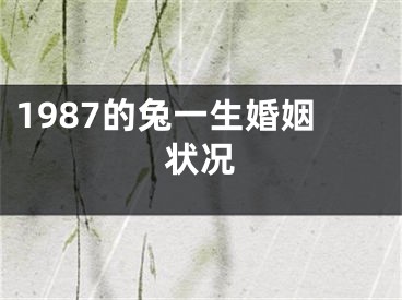 1987的兔一生婚姻状况