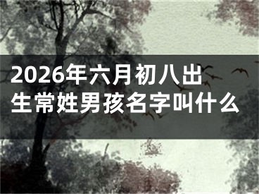 2026年六月初八出生常姓男孩名字叫什么