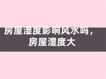 房屋湿度影响风水吗,房屋湿度大