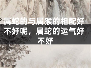 属蛇的与属猴的相配好不好呢，属蛇的运气好不好
