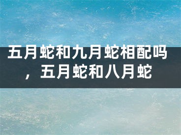 五月蛇和九月蛇相配吗，五月蛇和八月蛇