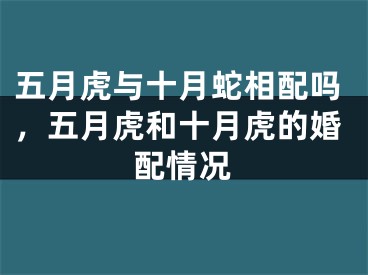 五月虎与十月蛇相配吗,五月虎和十月虎的婚配情况