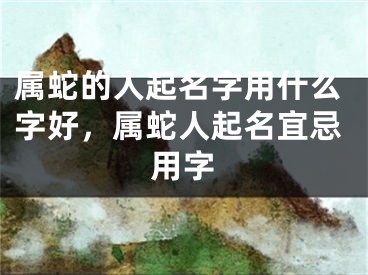 属蛇的人起名字用什么字好,属蛇人起名宜忌用字
