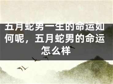 五月蛇男一生的命运如何呢,五月蛇男的命运怎么样