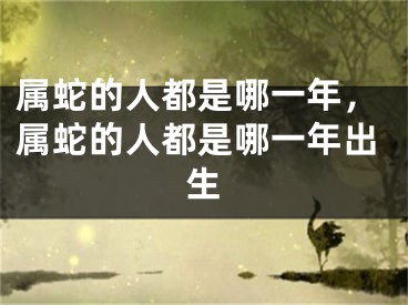 属蛇的人都是哪一年，属蛇的人都是哪一年出生