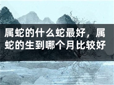 属蛇的什么蛇最好，属蛇的生到哪个月比较好