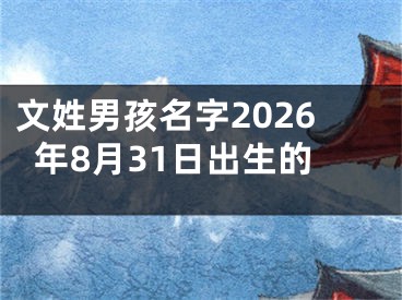 文姓男孩名字2026年8月31日出生的