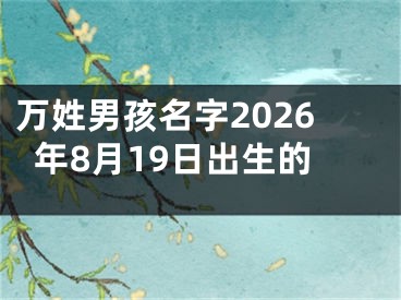 万姓男孩名字2026年8月19日出生的