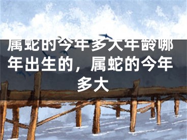 属蛇的今年多大年龄哪年出生的，属蛇的今年多大