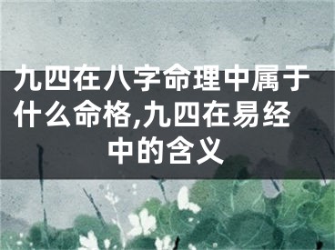 九四在八字命理中属于什么命格,九四在易经中的含义
