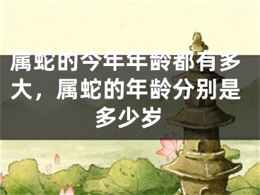 属蛇的今年年龄都有多大,属蛇的年龄分别是多少岁
