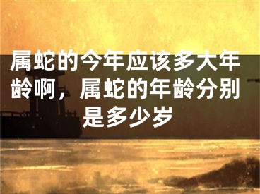 属蛇的今年应该多大年龄啊,属蛇的年龄分别是多少岁