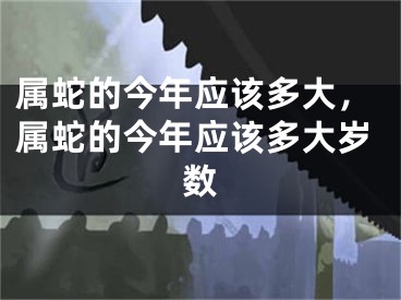 属蛇的今年应该多大,属蛇的今年应该多大岁数