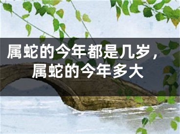 属蛇的今年都是几岁，属蛇的今年多大