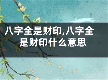 八字全是财印,八字全是财印什么意思