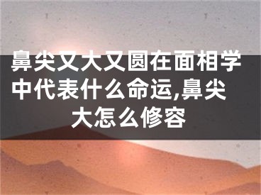鼻尖又大又圆在面相学中代表什么命运,鼻尖大怎么修容