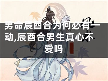 男命辰酉合为何必有一动,辰酉合男生真心不爱吗