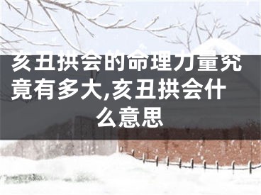 亥丑拱会的命理力量究竟有多大,亥丑拱会什么意思