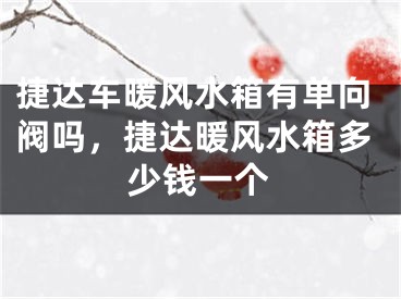 捷达车暖风水箱有单向阀吗,捷达暖风水箱多少钱一个