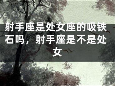 射手座是处女座的吸铁石吗，射手座是不是处女