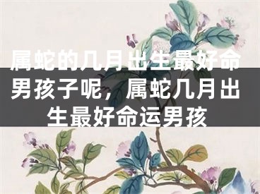 属蛇的几月出生最好命男孩子呢,属蛇几月出生最好命运男孩