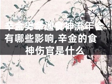 辛金男命遇食神流年会有哪些影响,辛金的食神伤官是什么
