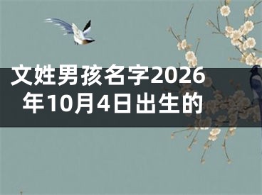 文姓男孩名字2026年10月4日出生的