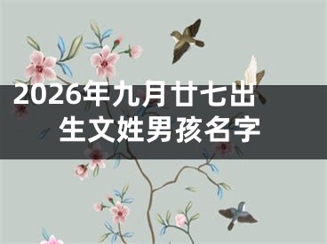 2026年九月廿七出生文姓男孩名字