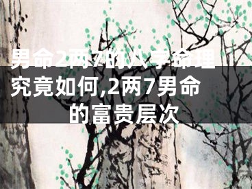 男命2两7的八字命理究竟如何,2两7男命的富贵层次