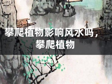 攀爬植物影响风水吗，攀爬植物
