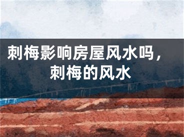 刺梅影响房屋风水吗，刺梅的风水