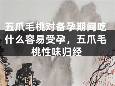 五爪毛桃对备孕期间吃什么容易受孕，五爪毛桃性味归经