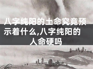 八字纯阳的土命究竟预示着什么,八字纯阳的人命硬吗